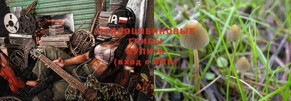 ALPHA-PVP Белокуриха